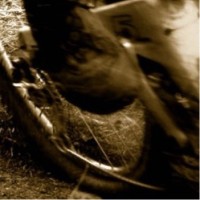 Chasing Trails Employee Stephen Phipps's profile photo