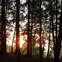 David Venzke Email & Phone Number