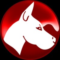 STAHLS Employee Dane Clement's profile photo