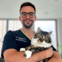 Vets Now Employee Jordan Karadakov's profile photo