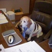 Riverside Health System Employee Bill Jolly's profile photo