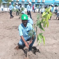 Operational Energy Group India Ltd Employee Meru Keshwala's profile photo