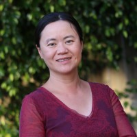 Ledra Brands Employee Xin Guo's profile photo