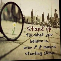 Ank Employee Cita Fitzgerald's profile photo