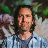 David Levy Email & Phone Number