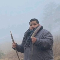 Louis Castilllo's profile photo