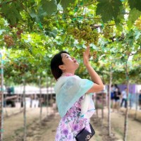 D.C Technology Company Ltd. (DC Tech) Employee Ngọc Trần's profile photo
