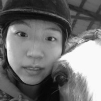 Brandston Partnership, Inc Employee Emily Qi's profile photo