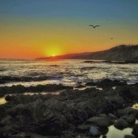 Unique Logistics International Employee Gabriel Molina's profile photo