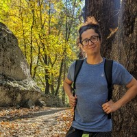 eTailPet Employee David Ruan's profile photo