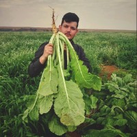 AG Croppers® Employee Caio Bruno Soares's profile photo