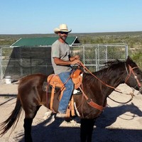 Oxy Employee David Brabham's profile photo