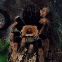 Christopher Turner's profile photo