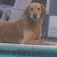 Covell Communities, LLC Employee Keith Barone's profile photo