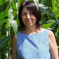Cairo Editore Employee Antonella Colicchia's profile photo