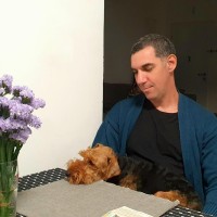 Ron Shavit Email