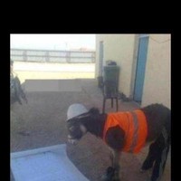 Skeen Constructions Employee Matt Mabin's profile photo