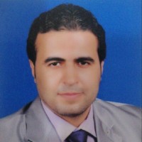 Saudi Korean Company (MUMTALAKAT) Employee Diaa Sayed's profile photo