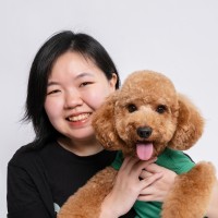 Hey Pawfriends Employee June Kweh's profile photo