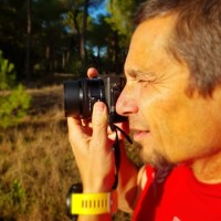 estudio propio Employee Luis Domingo's profile photo