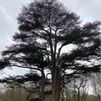 Vitol Employee Jonathan Norton's profile photo