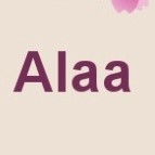 Alaa Haddad Email