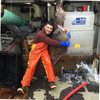 Running Tide Employee Matthew Anderson's profile photo