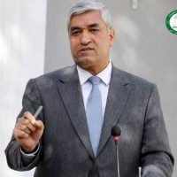 Mohammad Hamidi Email