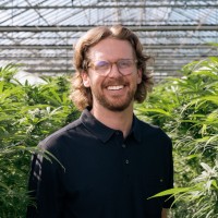 STIIIZY Employee Alex Bassi's profile photo