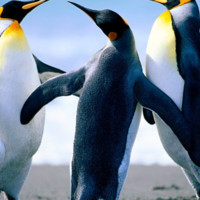 EFFE CONSULTANCY PVT LTD Employee Shanmuga Priya k's profile photo