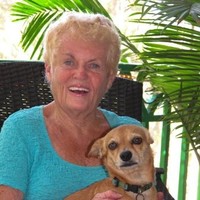 Gifft Hill School Employee Lee Morris's profile photo
