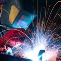 VERMOREL Employee Luminita Istrate's profile photo