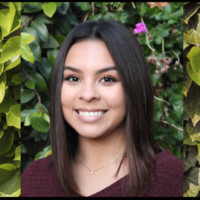 Sarmal, Inc. Employee Mia Vosicka's profile photo