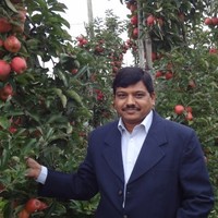 Namdhari Seeds Private Limited Employee Sunil Awari's profile photo