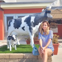 The Ford Store San Leandro Employee Sandra Vetter's profile photo