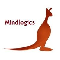 MindLogics Employee Aston Sandy's profile photo