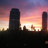 Octagon Employee Kyell Thomas's profile photo