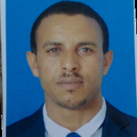 Mind Unique Interactive Employee Hailekiros Sibhato's profile photo