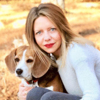 Lauren Bollinger Email & Phone Number