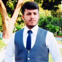 Strings Technologies Pvt Ltd Employee Taimour Hamid's profile photo