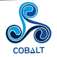 Cobalt Fellows