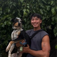 Felix Employee Lucas Yang's profile photo