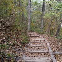 Genefir Reisinger Email & Phone Number