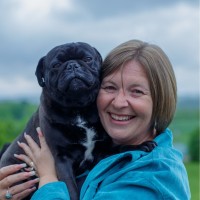 Island Therapy Solutions Employee Nicole Peters's profile photo