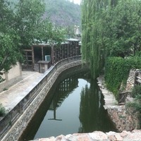 Trina Solar Employee Terry Wang's profile photo