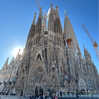 Cruise Planners Employee Jeff Wodka's profile photo