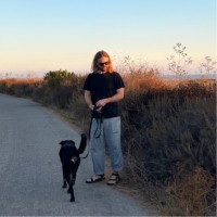Sender Employee Nicholas Naughton's profile photo