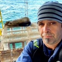 Petroleum Co-Ordinators, Inc. Employee Jorge Molne's profile photo