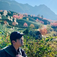 Vietsoftpro Employee Nguyen Walle's profile photo