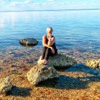 National Bio Vet Laboratory Employee Stacey Gudelis-Anderson's profile photo